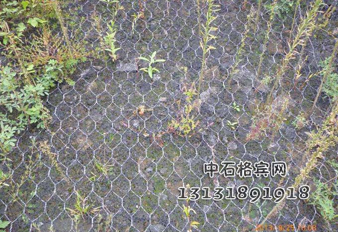 護(hù)坡加筋麥克墊咨詢13131891918 護(hù)坡加筋麥克墊咨詢13131891918