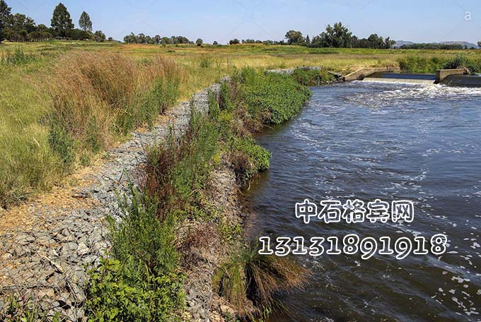 防洪固濱籠價(jià)格咨詢13131891918 防洪固濱籠價(jià)格咨詢13131891918