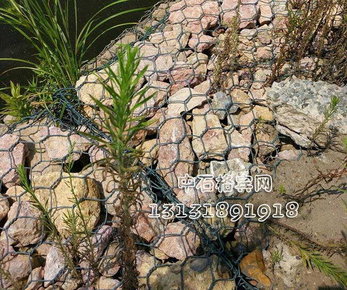 河道護岸固濱籠價格咨詢13131891918 河道護岸固濱籠價格咨詢13131891918