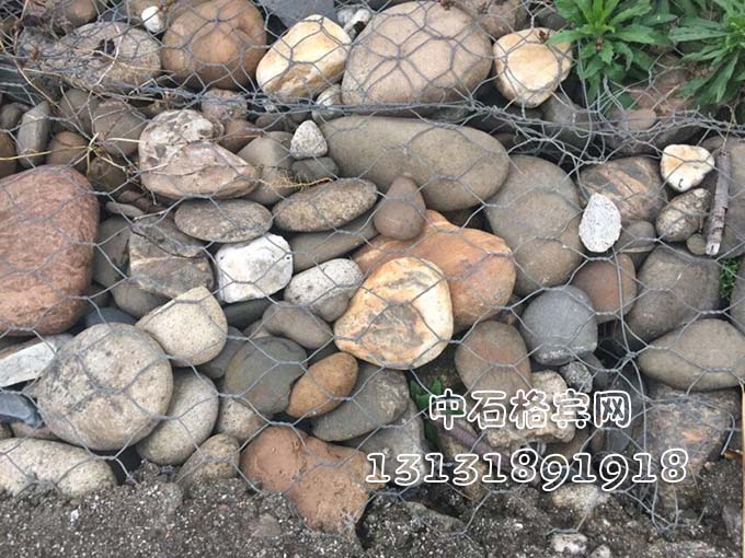 鍍高爾凡賓格網(wǎng) 鍍高爾凡賓格網(wǎng)