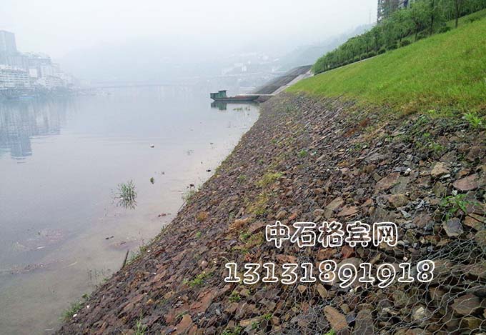 雙隔板雷諾護墊 雙隔板雷諾護墊